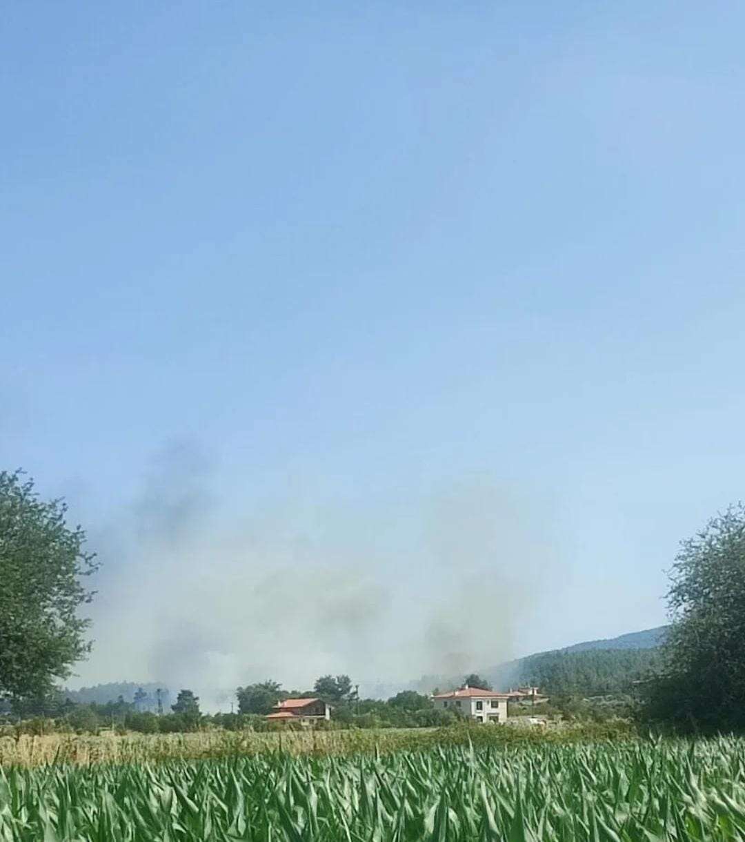Menteşe'de Yangın, Ekipler Seferber Oldu 2